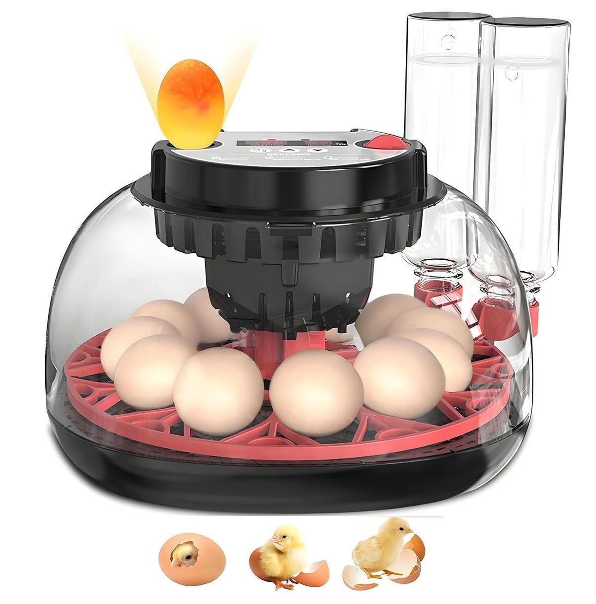 CARLA HOME 12 Egg Incubator with Automatic Turning, LED Display, Humidity &amp; Temperature Control, Auto Water System &amp; Built-in Egg Candler for Chicken, Duck, Quail, Goose