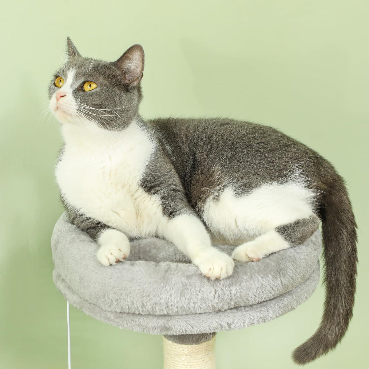 CARLA HOME Large Cat Tree Tower for Indoor Cats with Plush Perch, Cat Condo, Natural Sisal Scratching Posts, Hanging Ball & Paw Scratcher