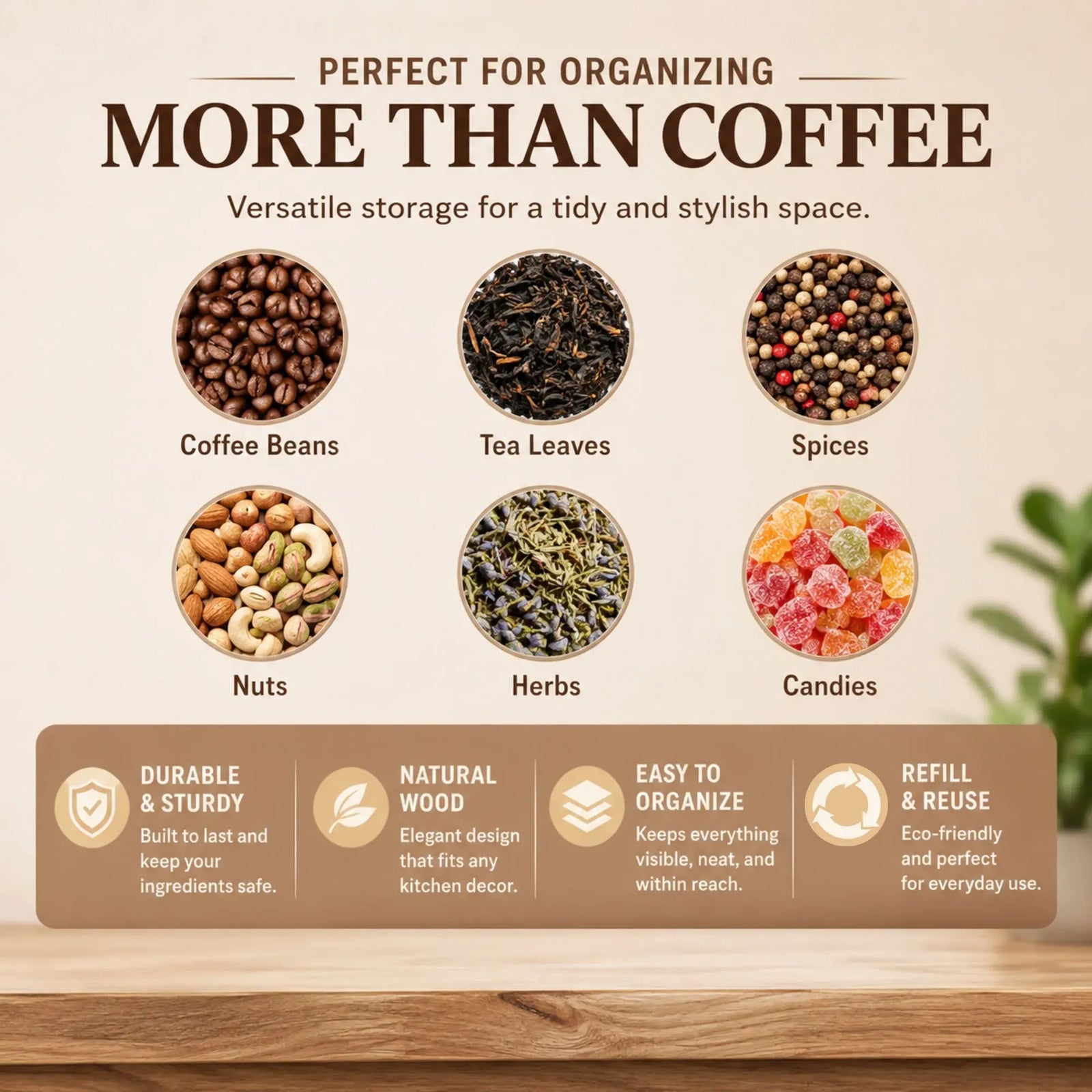 CARLA HOME Glass Coffee Bean Storage Tubes, 12 Pack Wooden Stand (60ml 20g)