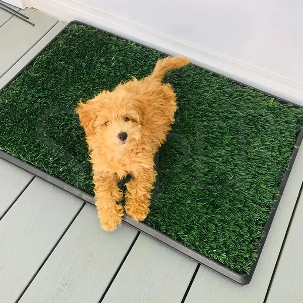 Portable Indoor Dog Potty Training Grass Mat in Black, 1060x410x70mm