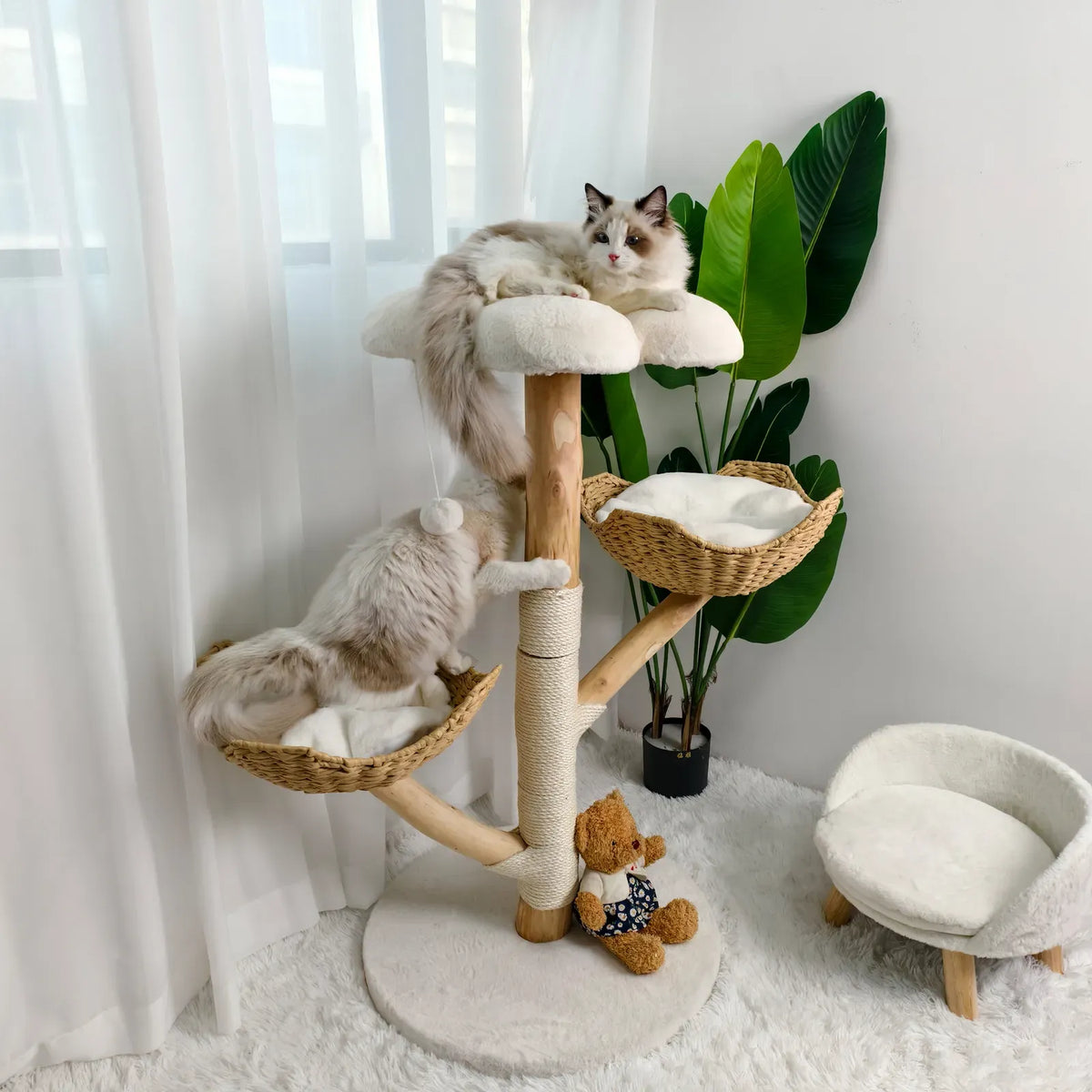 Real Wood Cat Tree Tower in Natural Wood for Indoor Cats Up to 10KG, 60x111cm