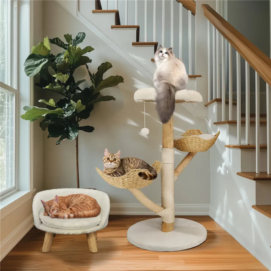 Real Wood Cat Tree Tower in Natural Wood for Indoor Cats Up to 10KG, 60x111cm