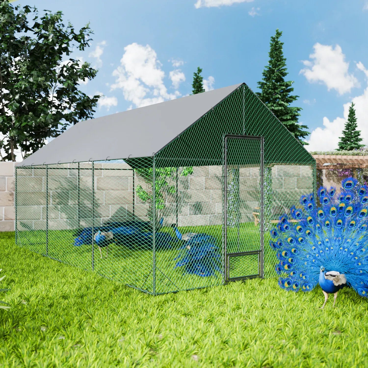 Heavy Duty XL Metal Walk-In Chicken Run with Cover, 276x405x300cm, Black