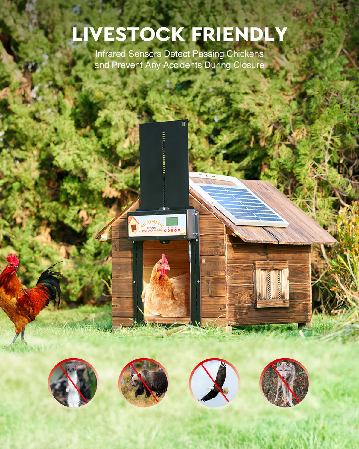 Automatic Chicken Coop Door Solar/Battery/AC 6W Aluminum Copper