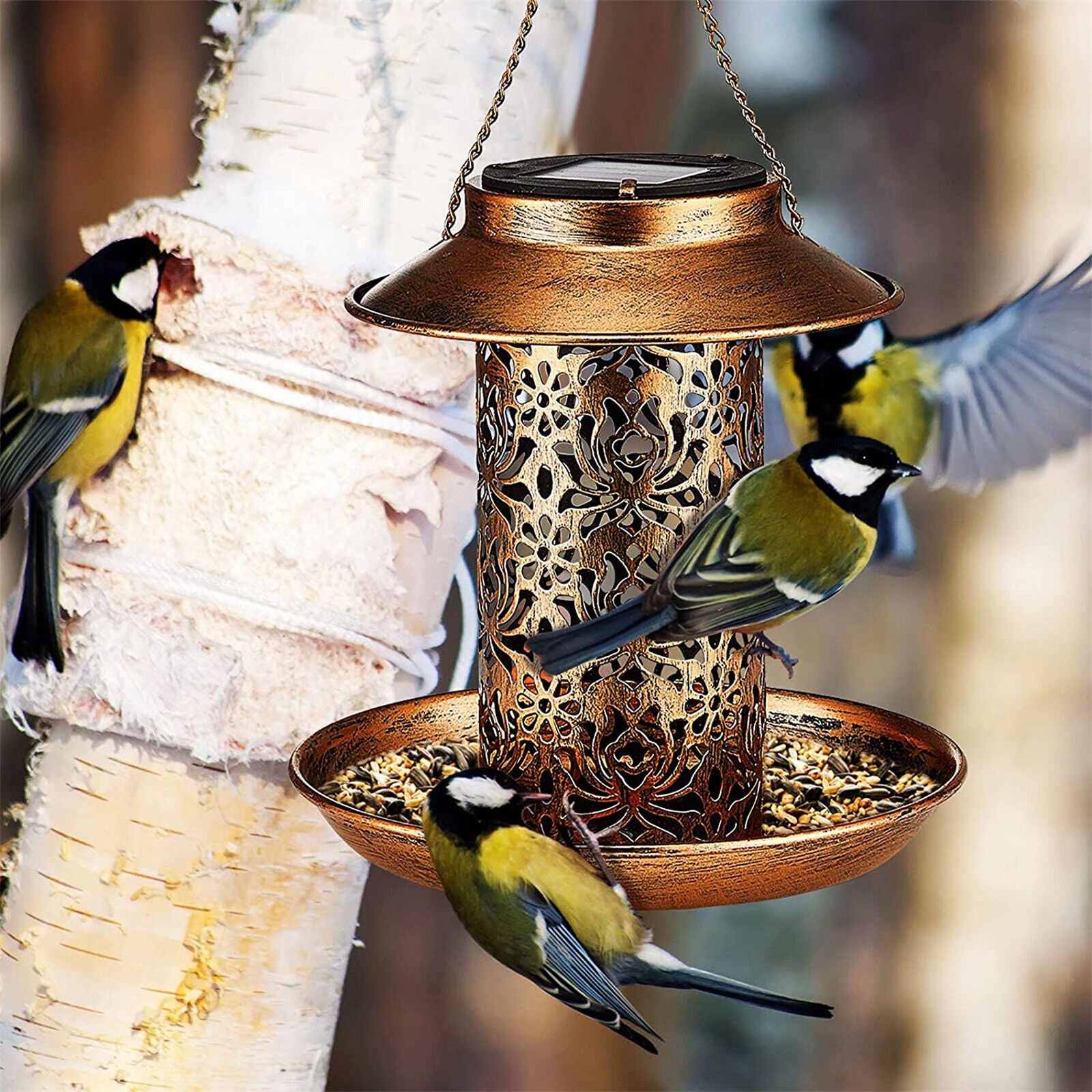 Solar Bird Seed Feeder Hanging Outdoor Garden