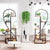 6 Tier Corner Plant Stand Metal & MDF Ladder Shelf Rack