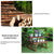 Pine Wood 3pcs Plant Stand Ladder Garden Flower Display