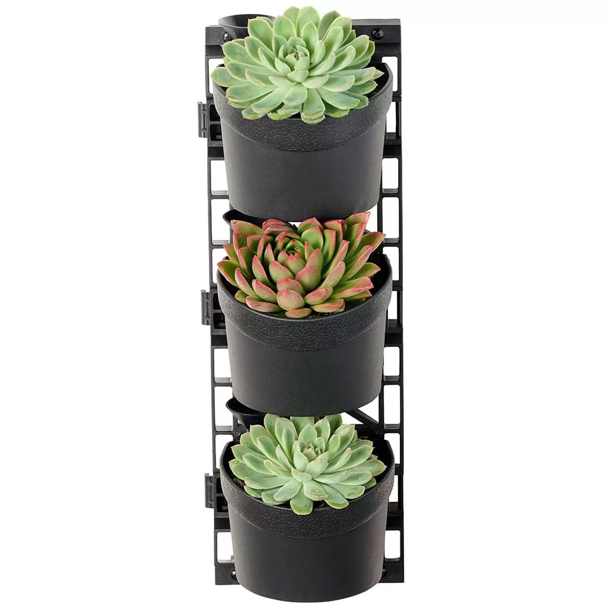 Tri vertical garden with 4 frames and 12 pots