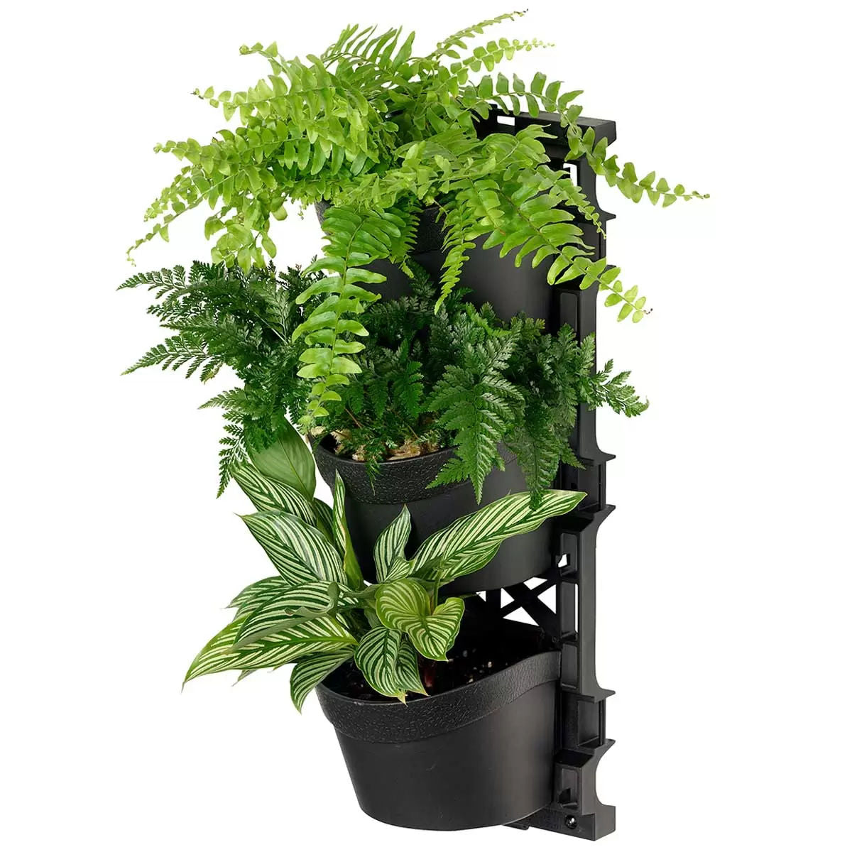 Tri vertical garden with 4 frames and 12 pots