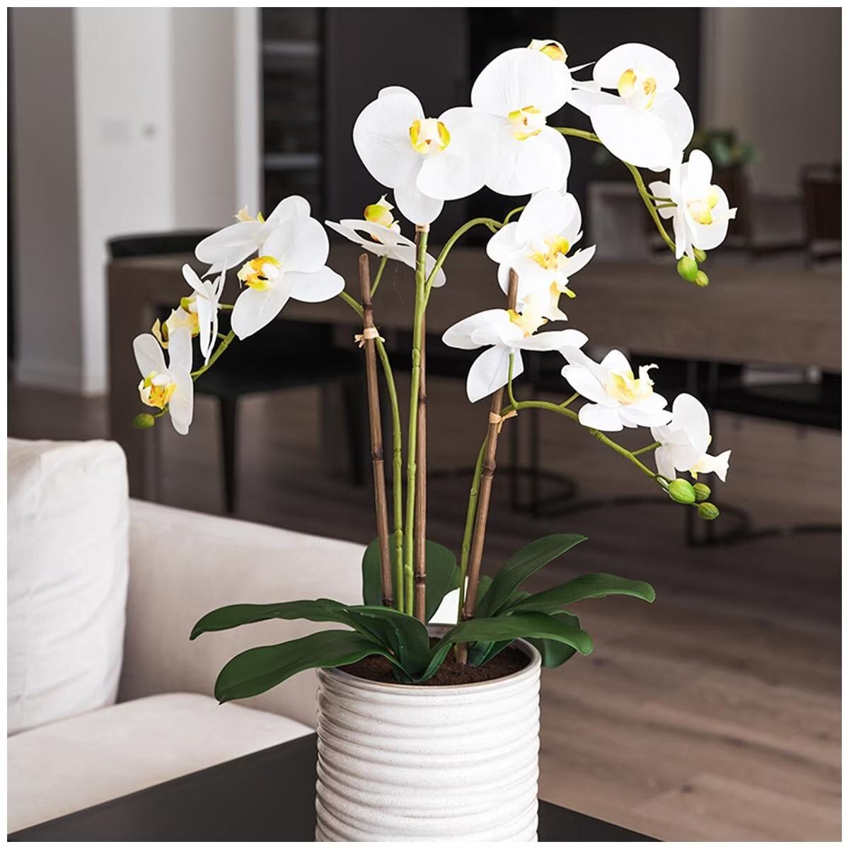 Artificial Orchid With Ribbed Pot 67cm