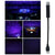 Starry Sky Projection Lamp Blue Purple Violet Mini USB Car Roof Star Night Light