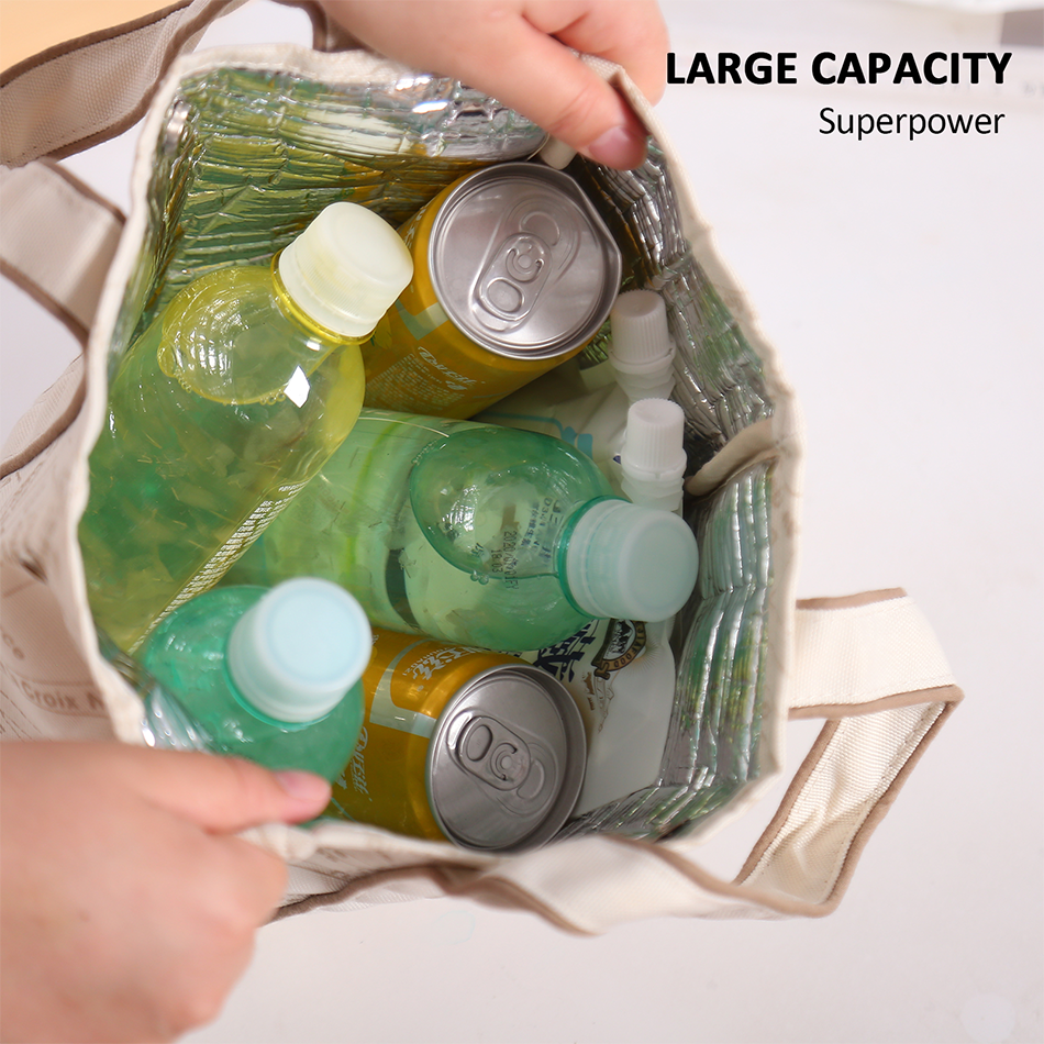 Portable 22*11.5*25cm Insulated Lunch Bag Food Container Picnic Storage Handbag