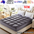 5CM Bedding Luxury Pillowtop Mattress Topper Mat Pad Antibacterial and dust mite-resistant Queen:153*203cm