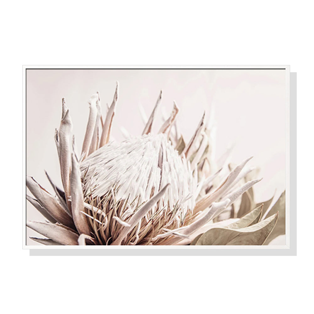 Wall Art 100cmx150cm Pure Protea II White Frame Canvas