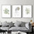 Wall Art 80cmx120cm Botanical Line Girl 3 Sets Black Frame Canvas