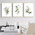 Wall Art 70cmx100cm Green and Gold Watercolor Botanical 3 Sets Gold Frame Canvas