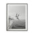 Wall Art 30cmx40cm Black and White Ocean Jump, Black Frame Canvas