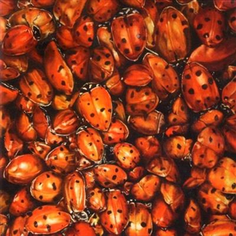 Tonights - Tonights Cd Album