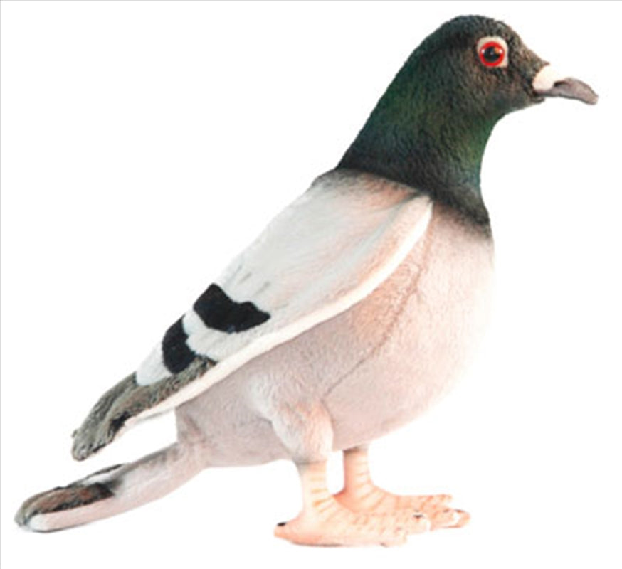 Pigeon 29cm L