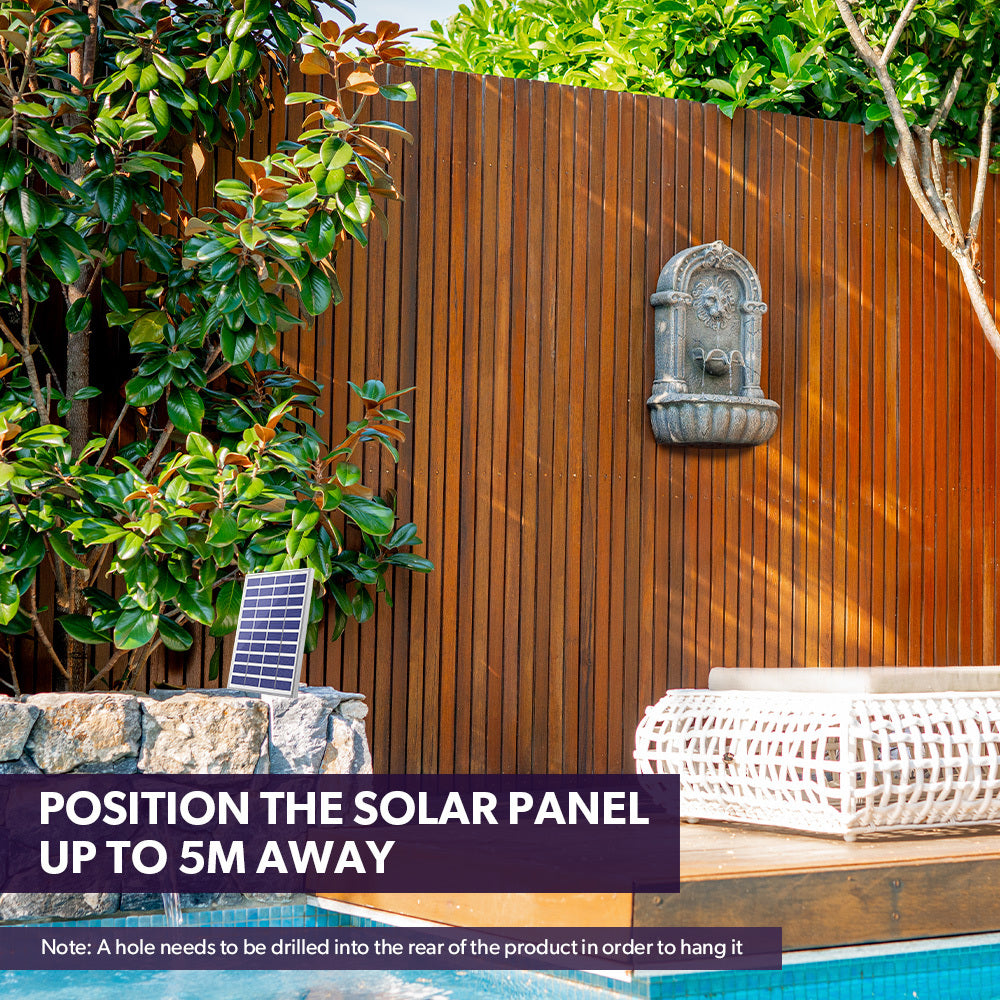 PROTEGE Lion Head Solar Powered Water Feature Fountain, Traditional Design, with Panel Kit, LED Lights