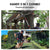 BAUMR-AG 20V SYNC Cordless Pole Saw & Hedge Trimmer Combo, 8 inch Chainsaw Pruner, Telescopic Handle, with Battery and Charger Kit