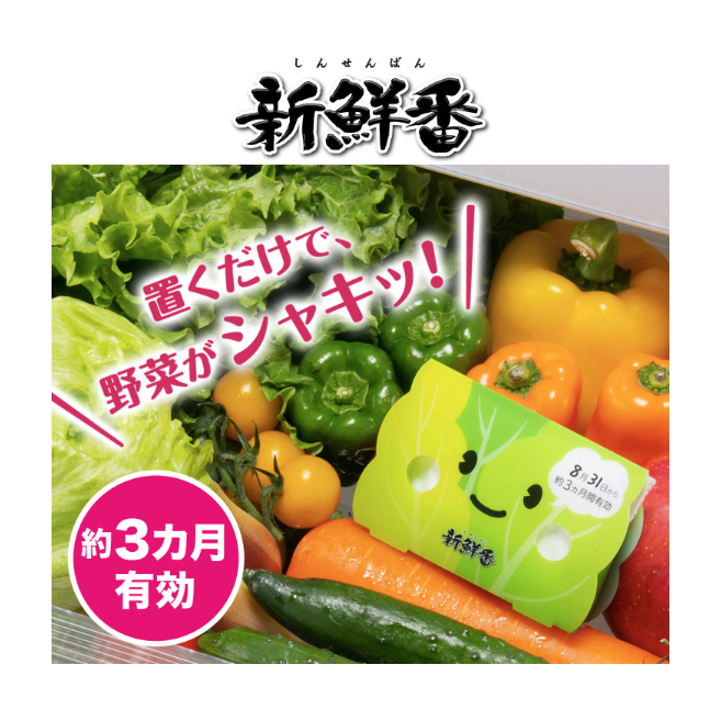 [6-PACK] S.T. Japan Refrigerate Vegetables for Long-term Preservation