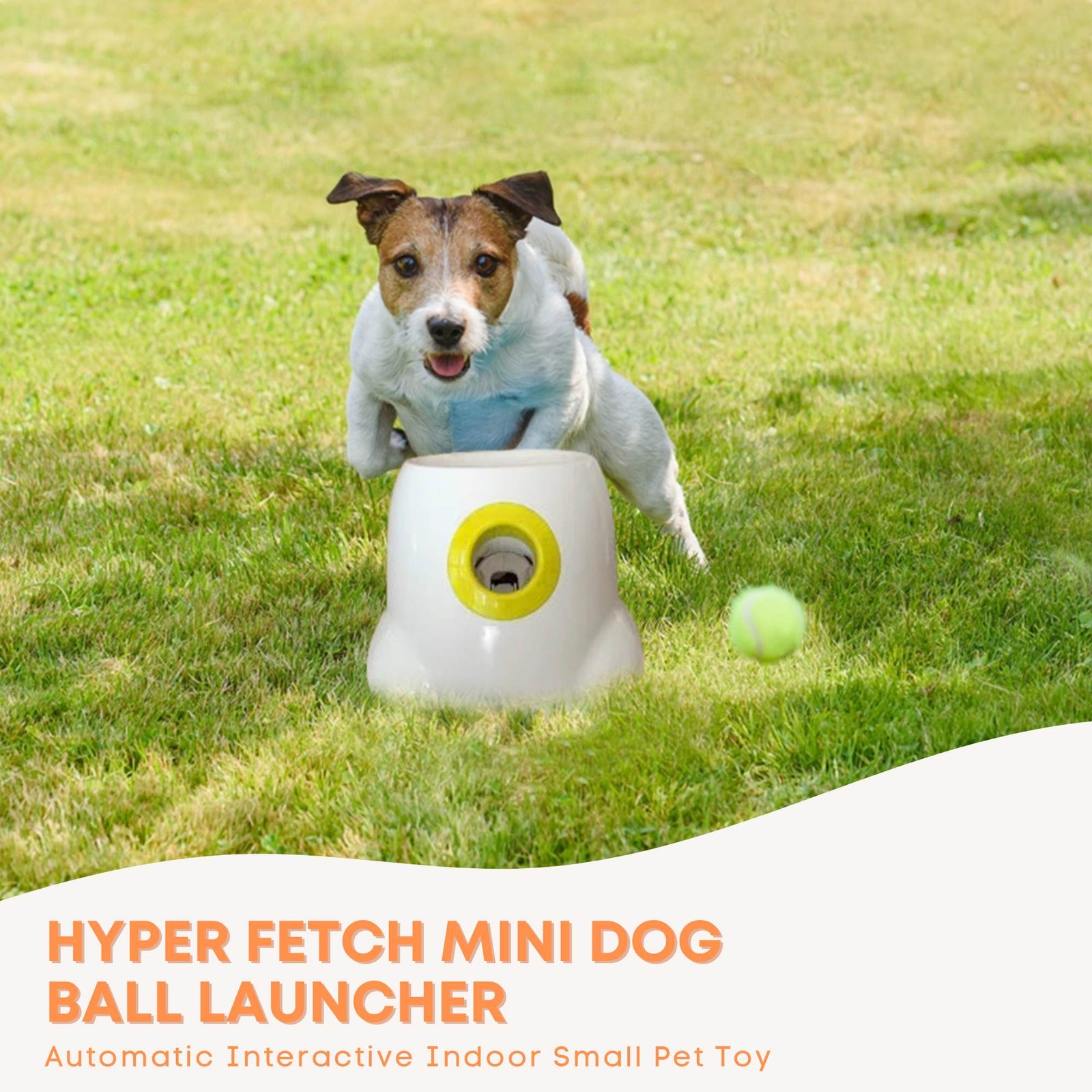 Hyper Fetch Mini Dog Ball Launcher - Automatic Interactive Indoor Small Pet Toy