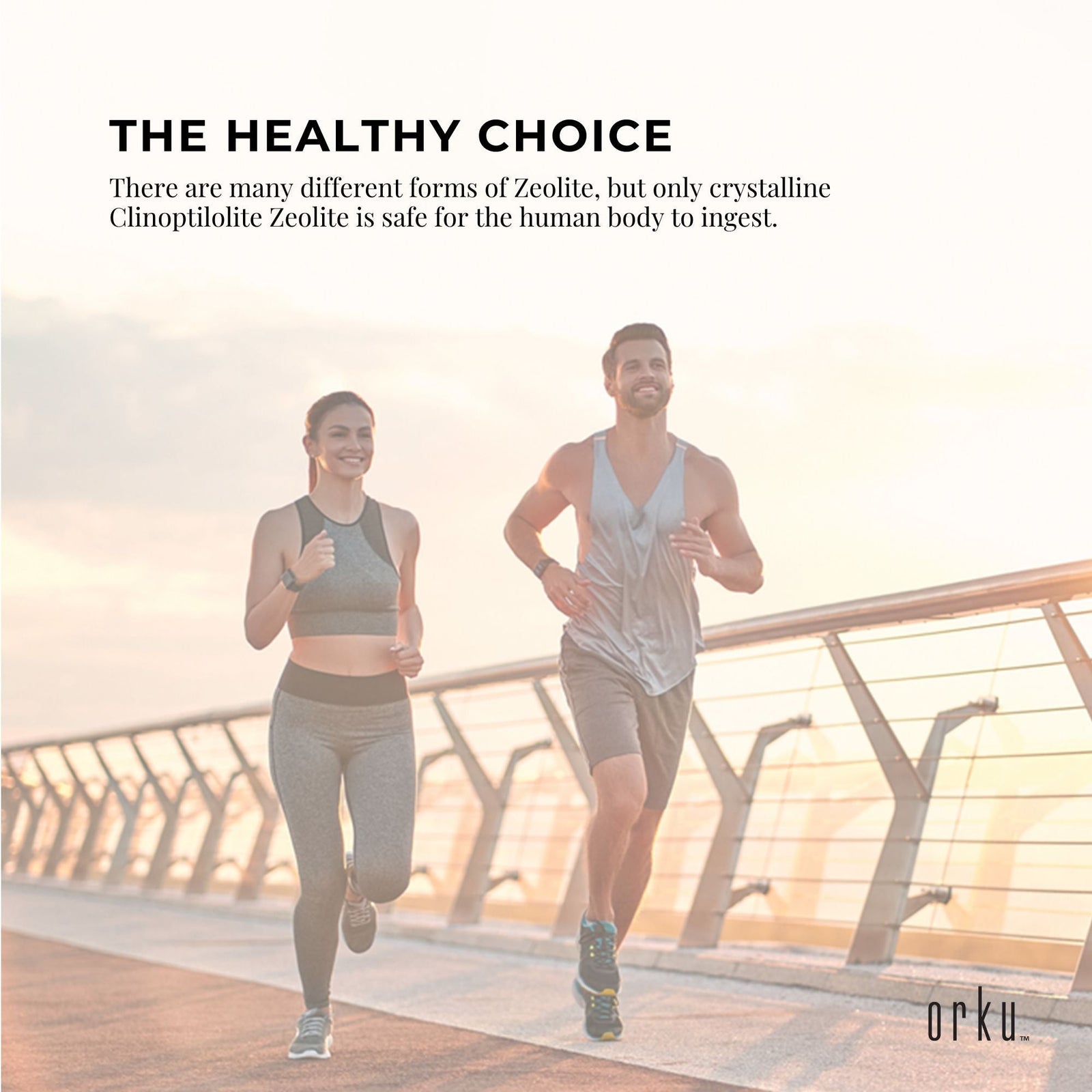 800g Pure Micronised Zeolite Powder Supplement Tub Micronized Volcamin