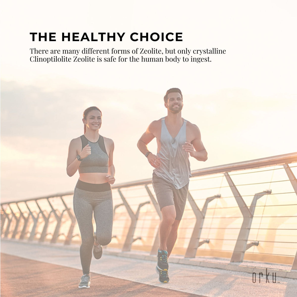 5kg Pure Micronised Zeolite Powder Supplement Tub Micronized Volcamin