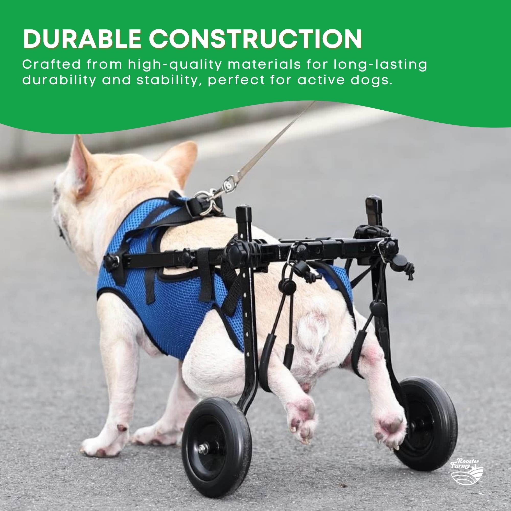 Rooster Farms Little Dog Wheelchair XS Harness - Adjustable Back Leg Aid