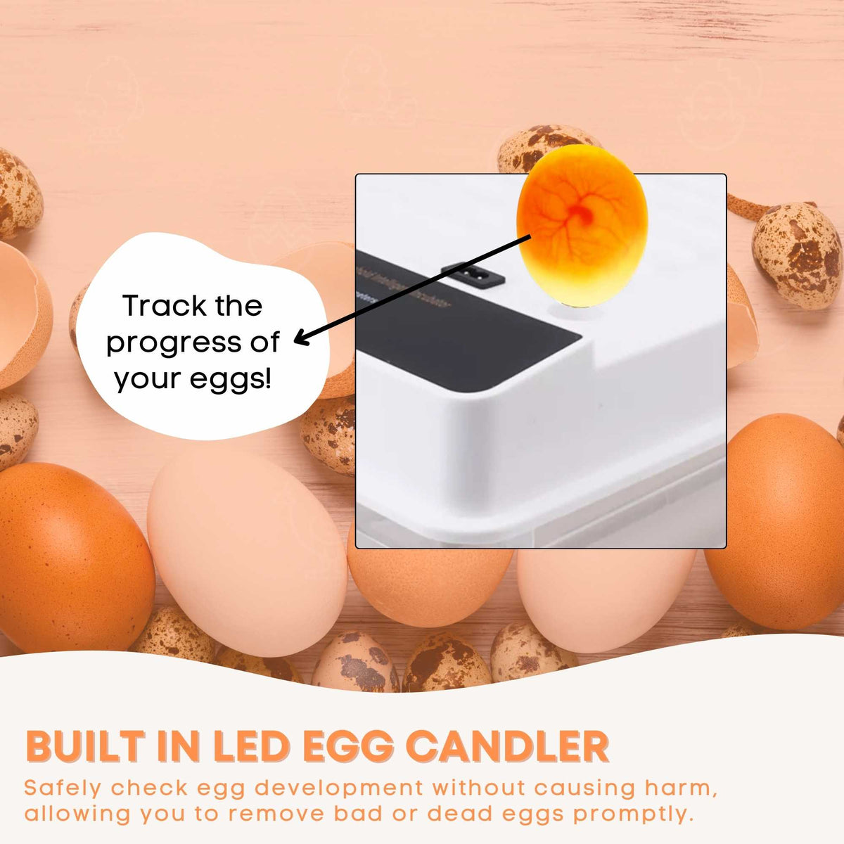 Automatic 48 Egg Incubator - Electric Digital Turning Chicken Quail Duck Hatching