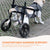 Rooster Farms Large Dog Wheelchair XL Harness - Adjustable Back Leg Aid