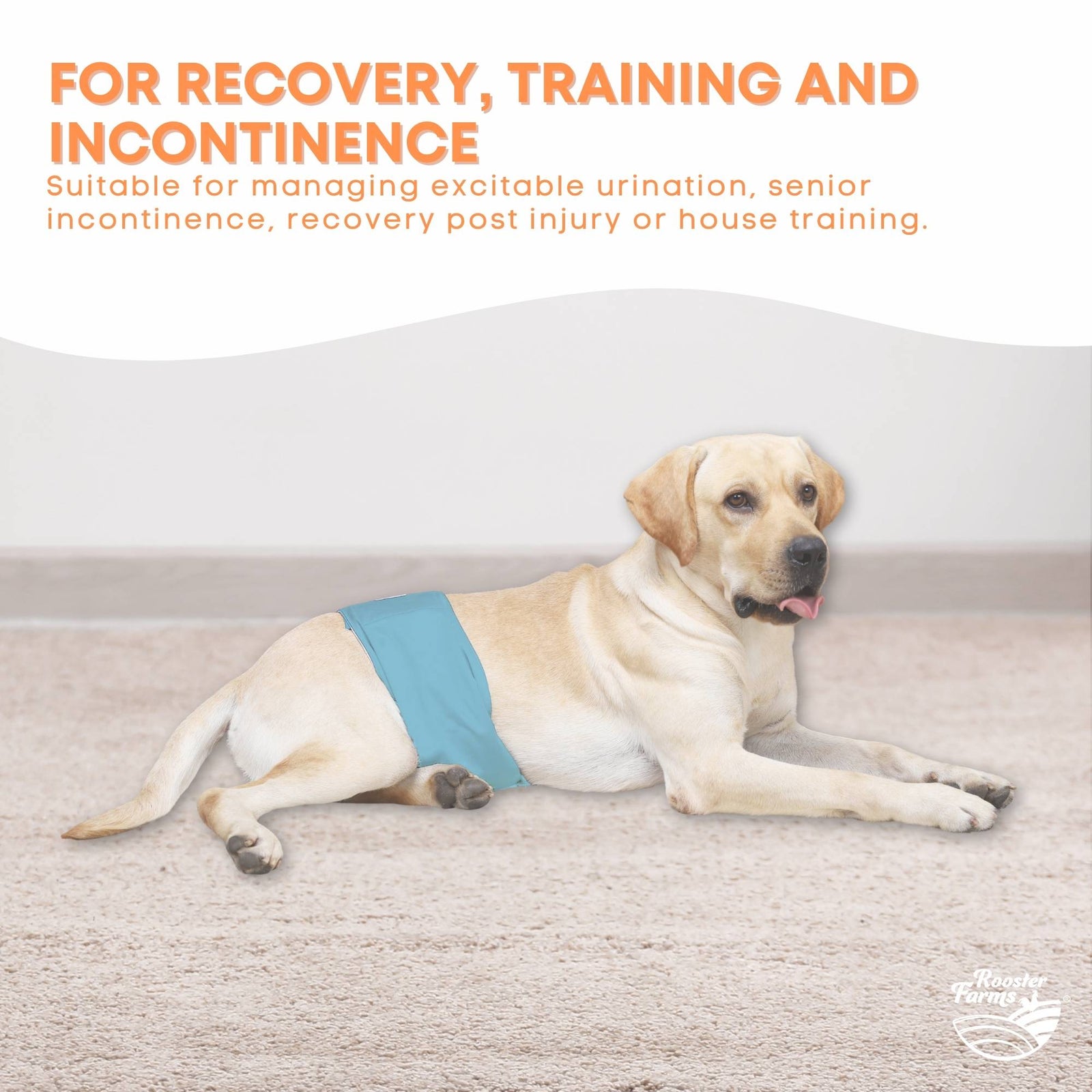 Rooster Farms Male Dog Diapers Large 3Pk - Washable Reusable Nappies Hook/Loop