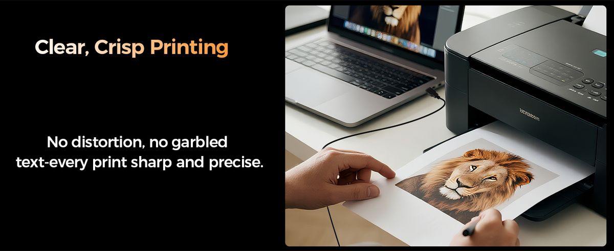 Choetech AB0060-3M USB A to B Printer 3meter Cable Black