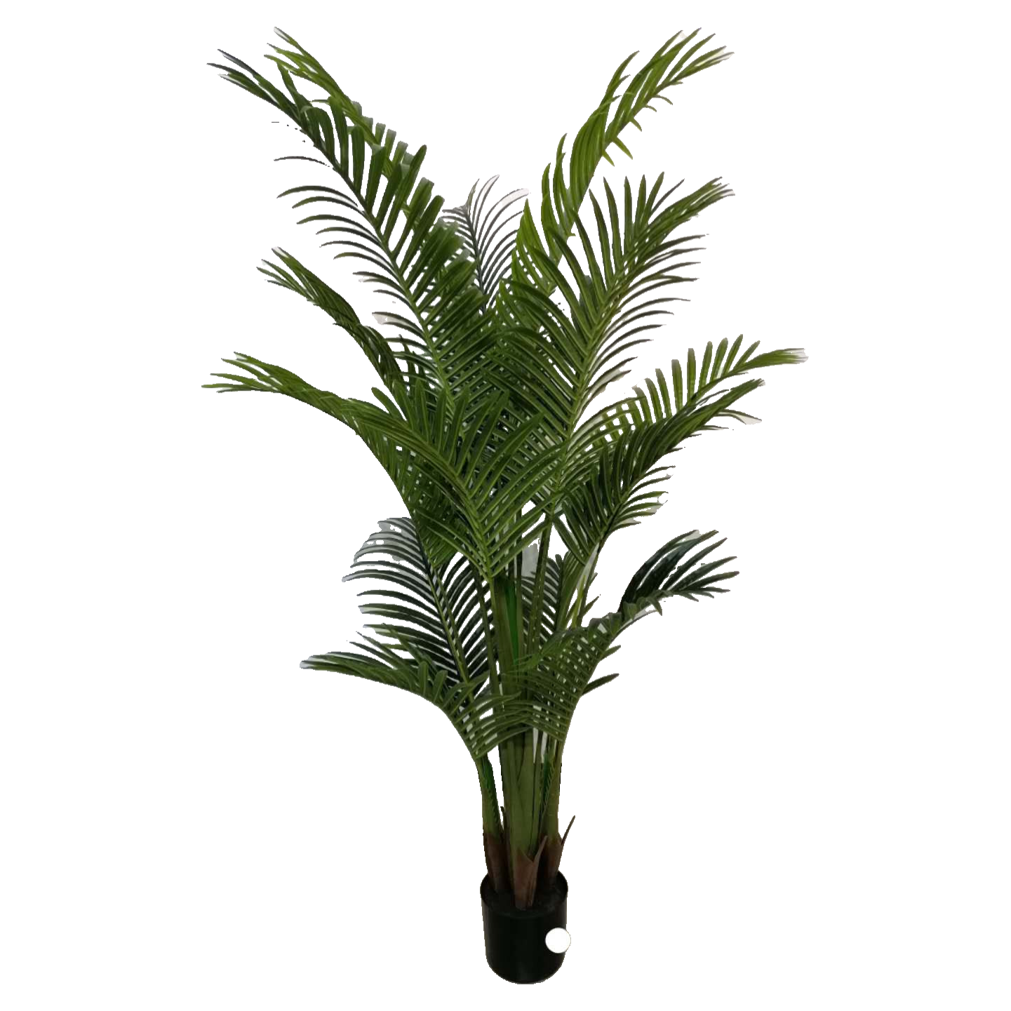Artificial Palm Tree Plant - 170cm