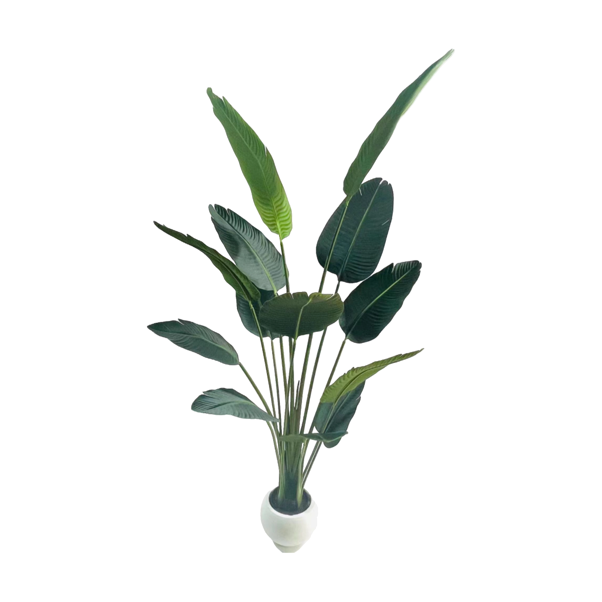 Artificial Bird of Paradise Plant - 180CM