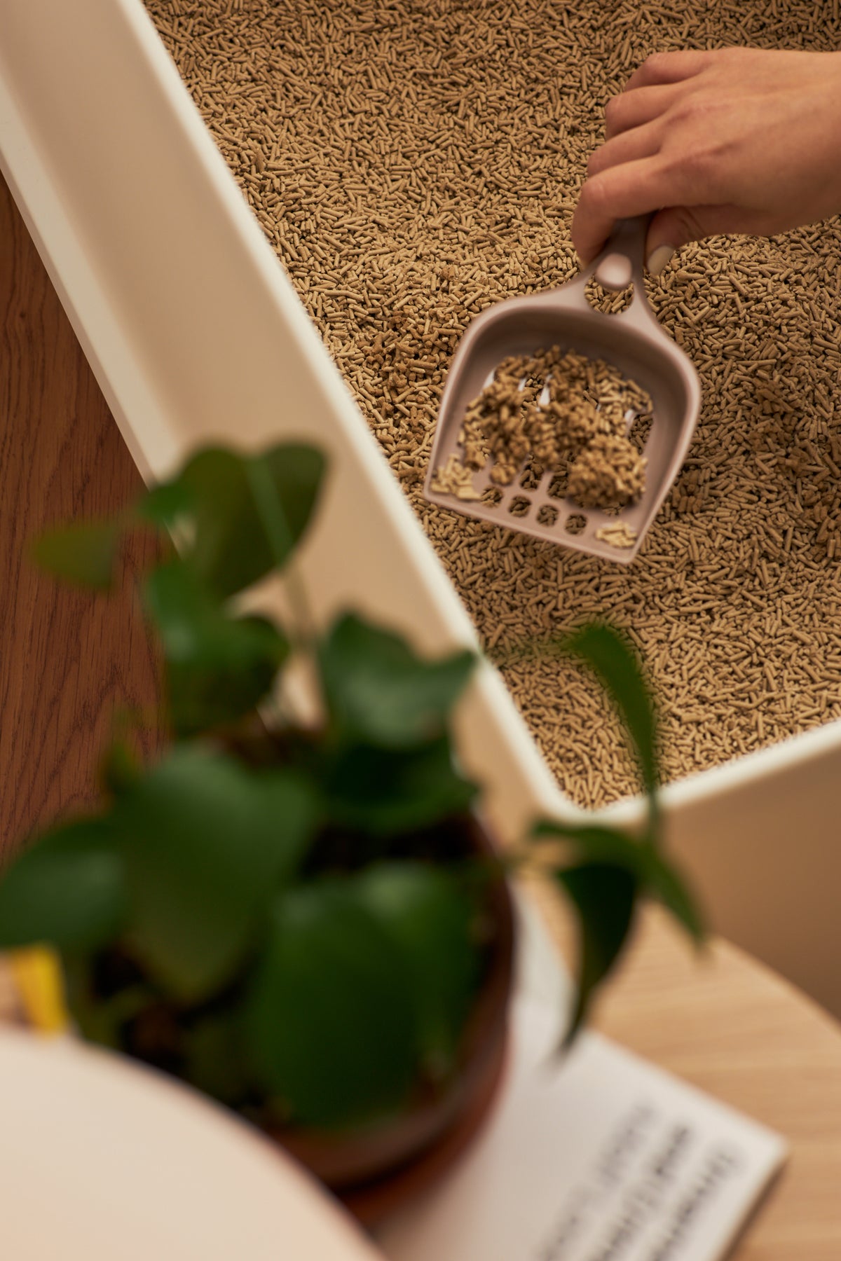 Whisker Wonderland Premium Biodegradable Bamboo Fibre Cat Litter 2KG - Fresh Bamboo Scent | Superior Odour Control, Fast Clumping & Flushable | Pet & Planet Friendly