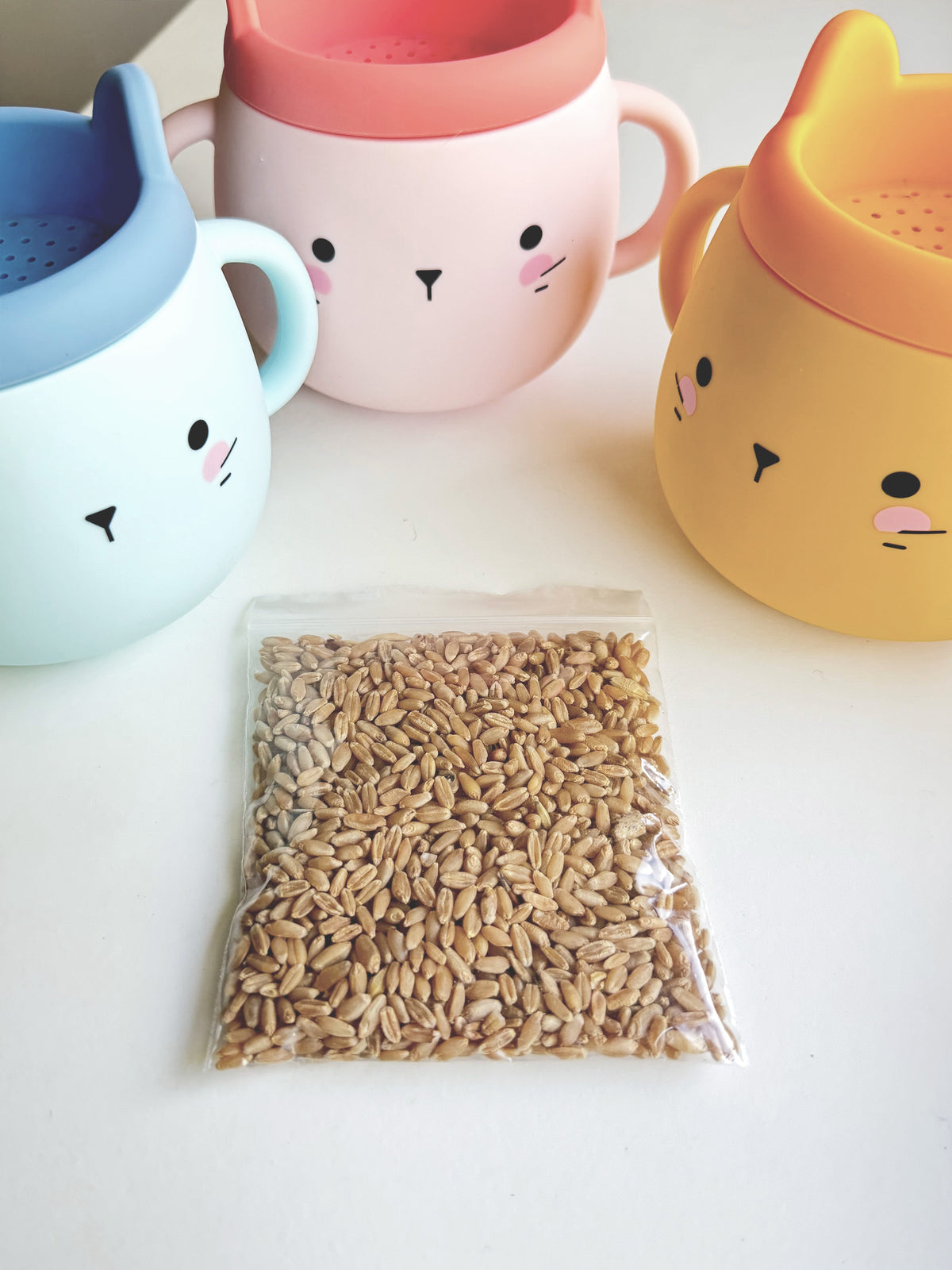 Whisker Wonderland Premium Cat Grass Seeds Refill - Hydroponic &amp; Soil-Free Growing | Natural Digestion &amp; Hairball Aid for Cats | Fresh &amp; Nutritious