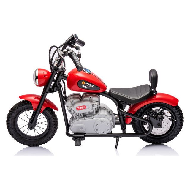 Single Rider Cruiser Bike 36V