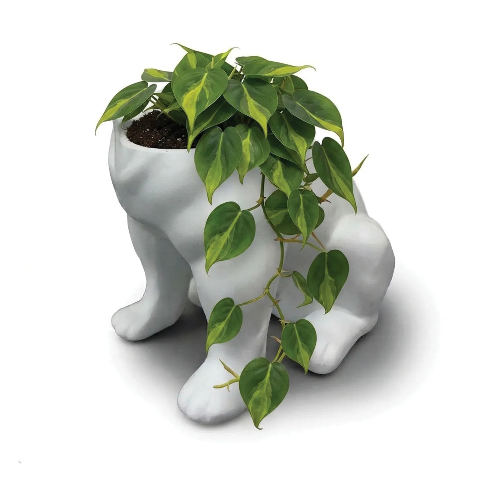 Urban Attitude Maggie Bulldog Planter - Matte White
