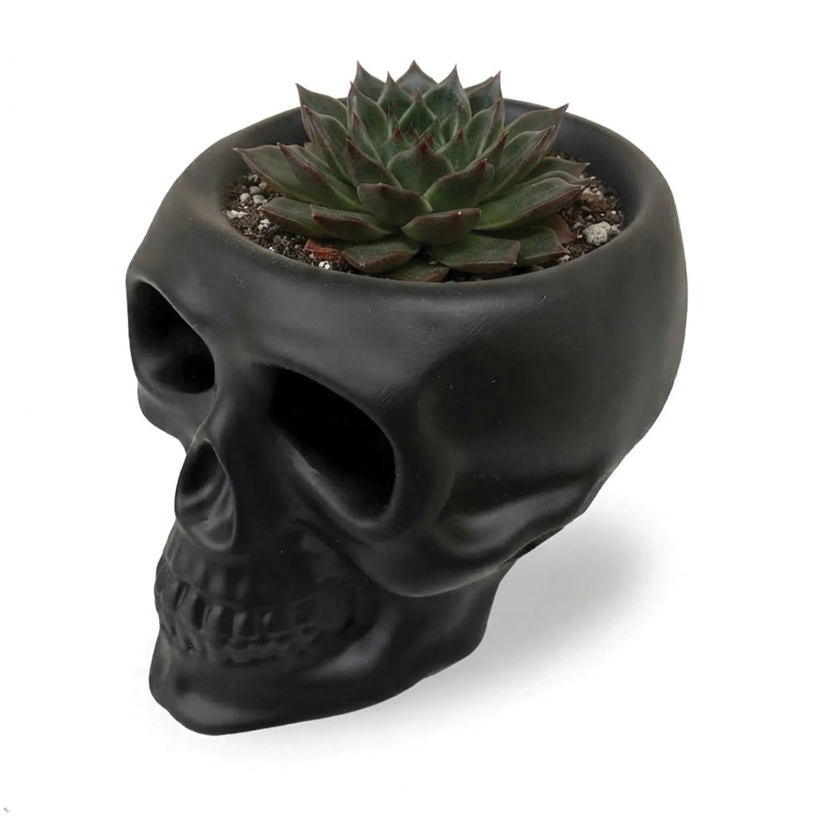 Urban Attitude Skull Statue - Matte Black