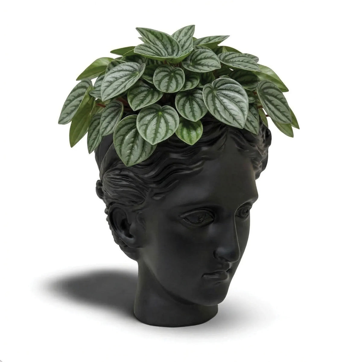 Urban Attitude Venus Head Planter - Matte Black