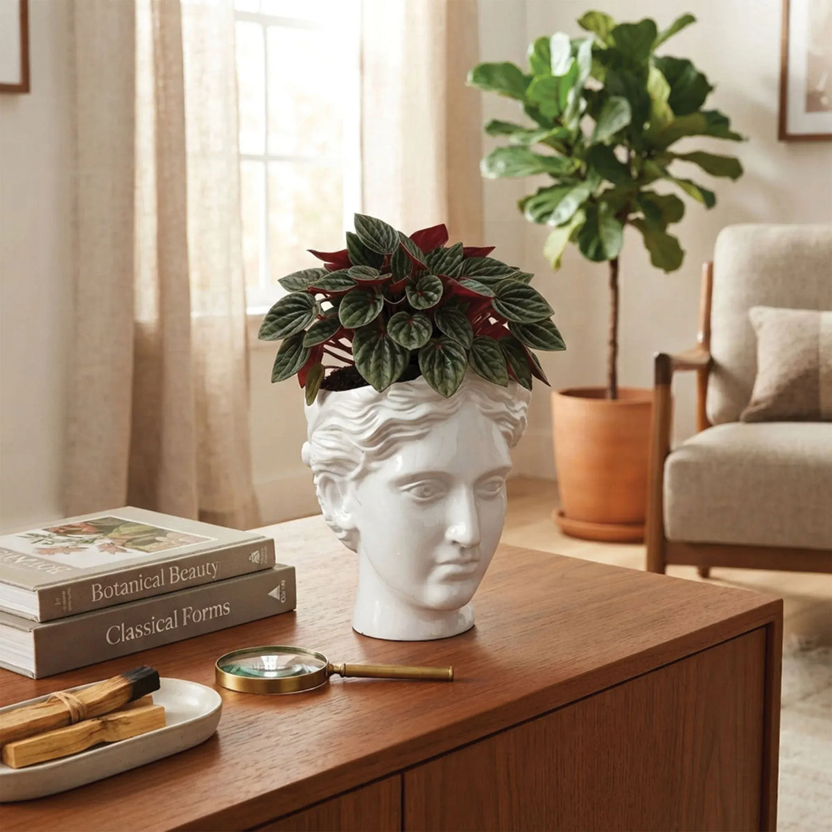 Urban Attitude Venus Head Planter - Matte White