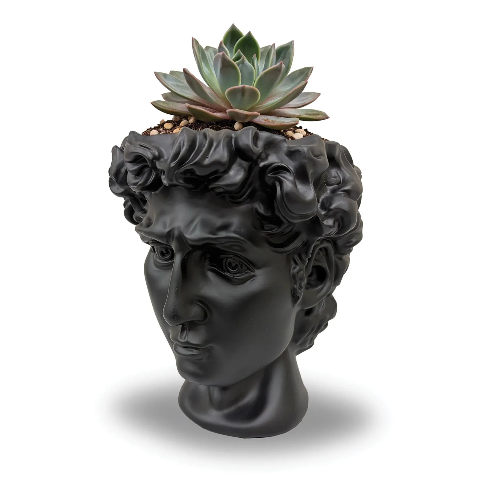 Urban Attitude David Head Planter - Matte Black