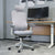 Lifespan Fitness DM8 Ergonomic Office Desk Chair (White/Grey)