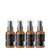 4 x 100ml Raw Hemp Seed Oil + Turmeric Food Supplement for Dogs