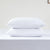 CleverPolly Pillow Cover Protector - Waterproof Terry Toweling Bed Pillow Protector with Zipper Closure - Soft, Breathable, Hypoallergenic, Washable & Anti-Microbial Pillow Protectors - Pack of 2