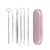 Stainless Steel Dental Tools Set Oral Care Kit with Metal Storage Case