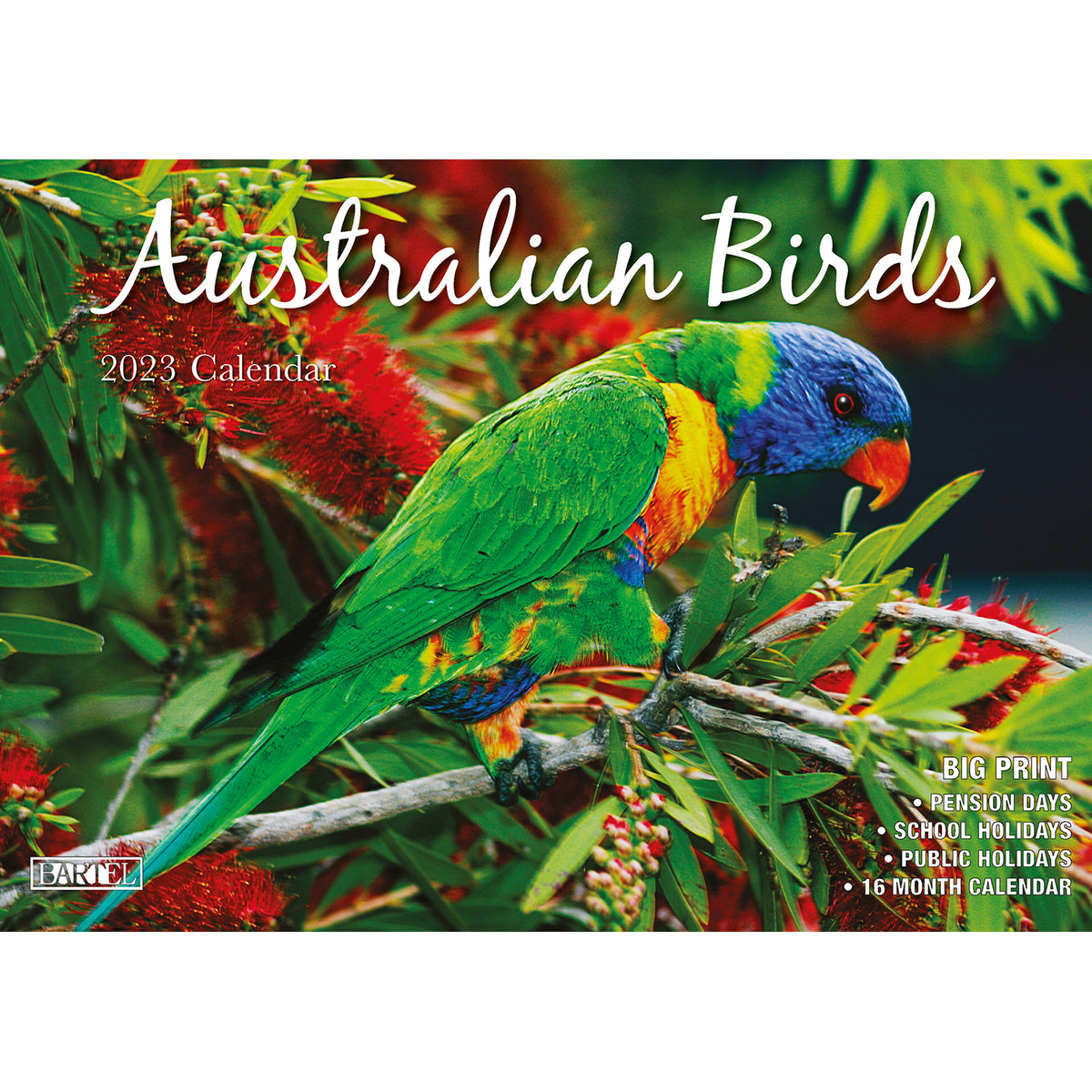 Australian Birds – 2023 Rectangle Wall Calendar 16 Months Planner New Year Gift