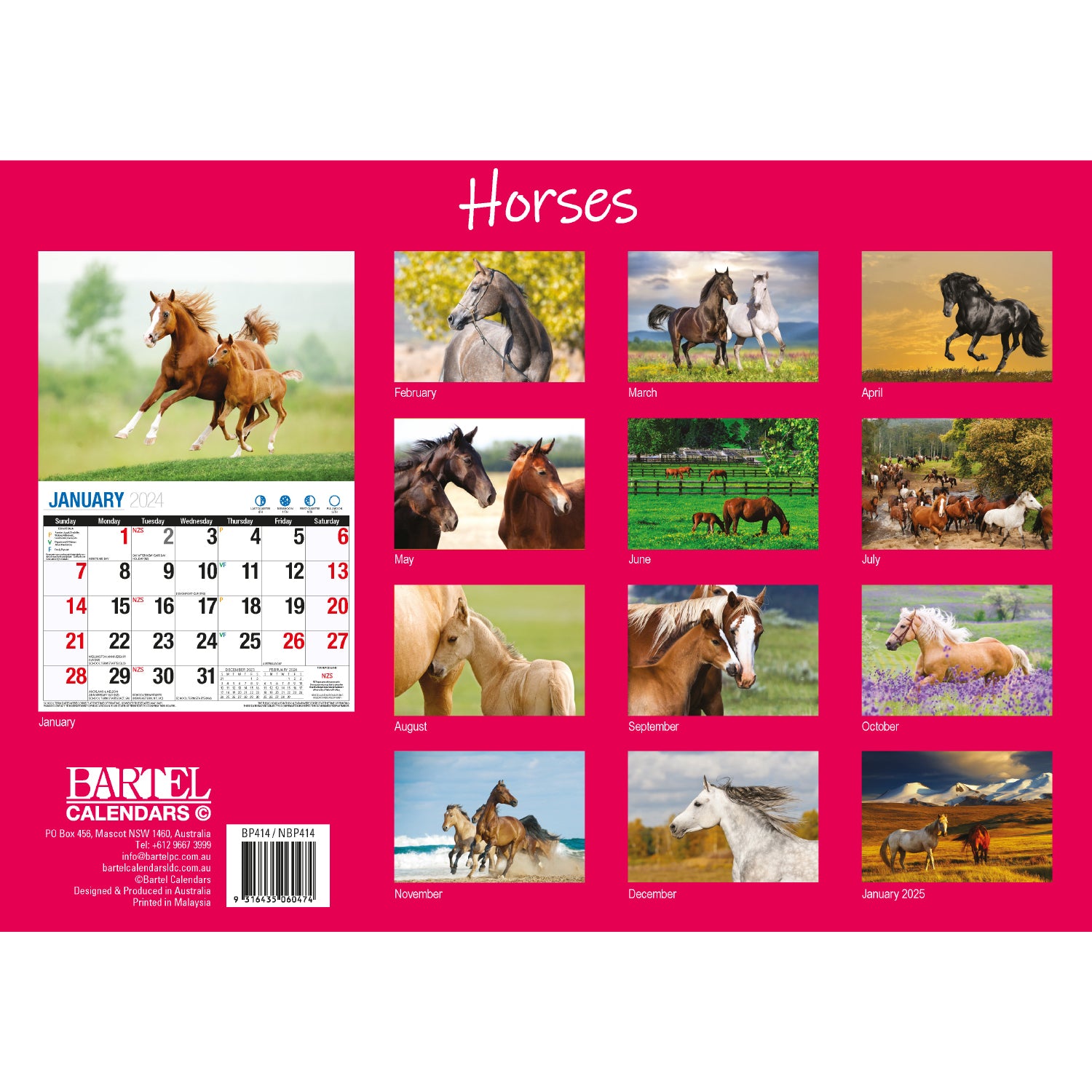 Horses - 2024 Rectangle Wall Calendar 16 Months Animal Planner New Year Gift